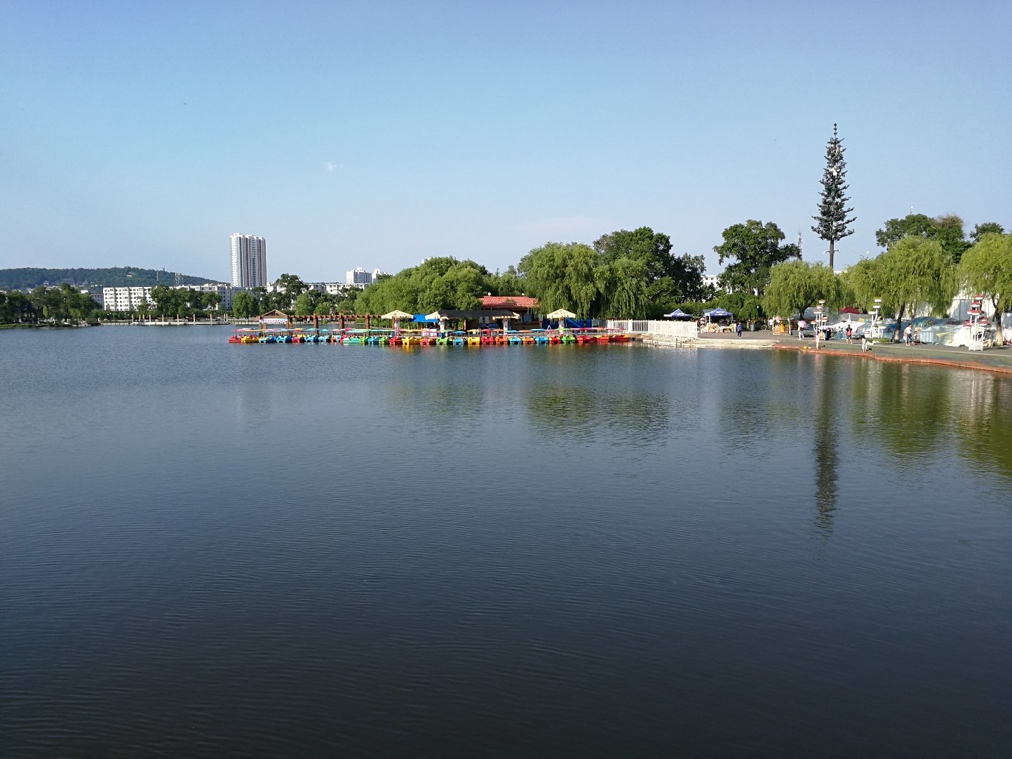 ����������